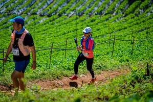 BIB: 244
                            <button type="button" onclick="openModal(19164362)" class="btn btn-primary btn-sm float-right btn-popup" data-toggle="modal" data-target=".modal-high-quality">
                        <i class="fas fa-shopping-cart"></i> Add to Cart
                    </button>
                                            <button type="button" onclick="isThisMe(19164362, true)" class="btn btn-success btn-sm float-right btn-popup btn-isme hidden" data-toggle="tooltip" data-placement="bottom" title="นี่คือรูปของคุณใช่ไหม คลิกที่นี่เพื่อเอาเข้าอัลบั้ม">
                        <i class="fas fa-plus"></i> Add to album
                    </button>
                    <button type="button" onclick="isThisMe(19164362, false)" class="btn btn-warning btn-sm float-right btn-popup btn-isnotme hidden">
                        <i class="fas fa-ban"></i> Remove from album
                    </button>